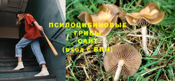 индика Бугульма
