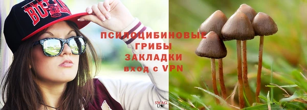 прущие крисы Богородицк