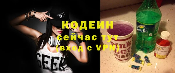 индика Бугульма