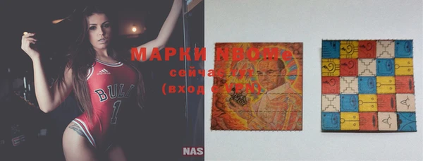 индика Бугульма