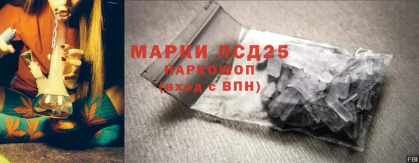 индика Бугульма