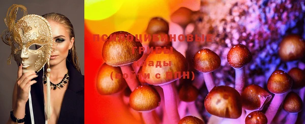 стафф Верея
